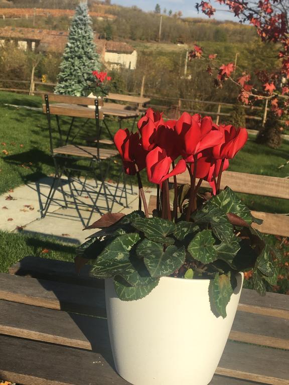 Agriturismo Da Mamma Alba  Eksteriør bilde