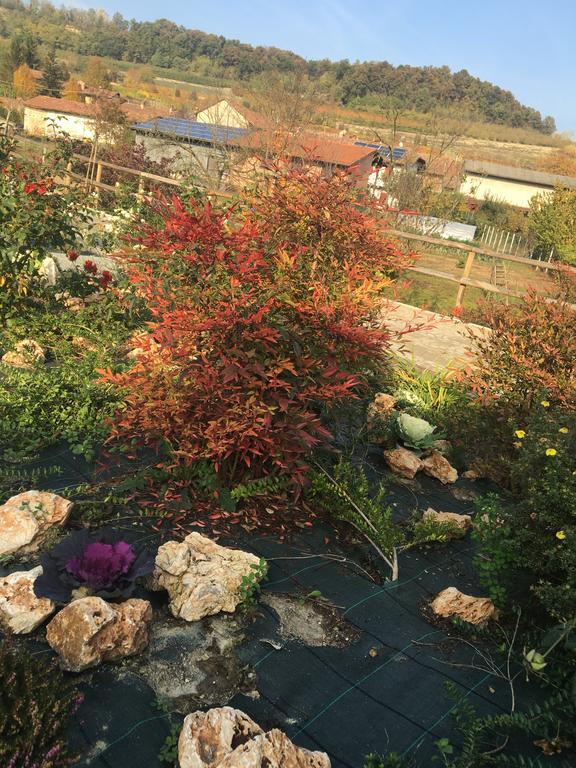 Agriturismo Da Mamma Alba  Eksteriør bilde