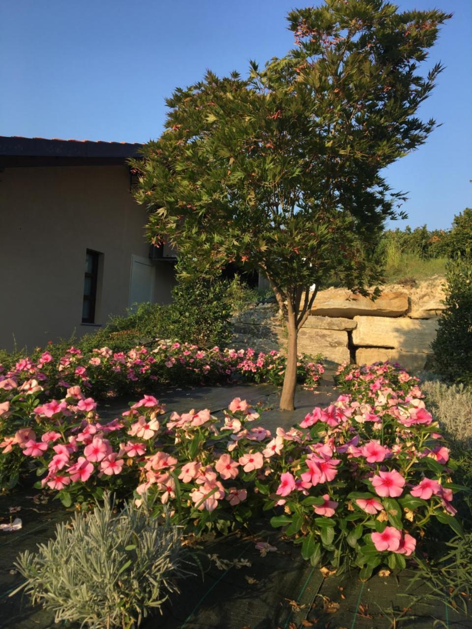 Agriturismo Da Mamma Alba  Eksteriør bilde