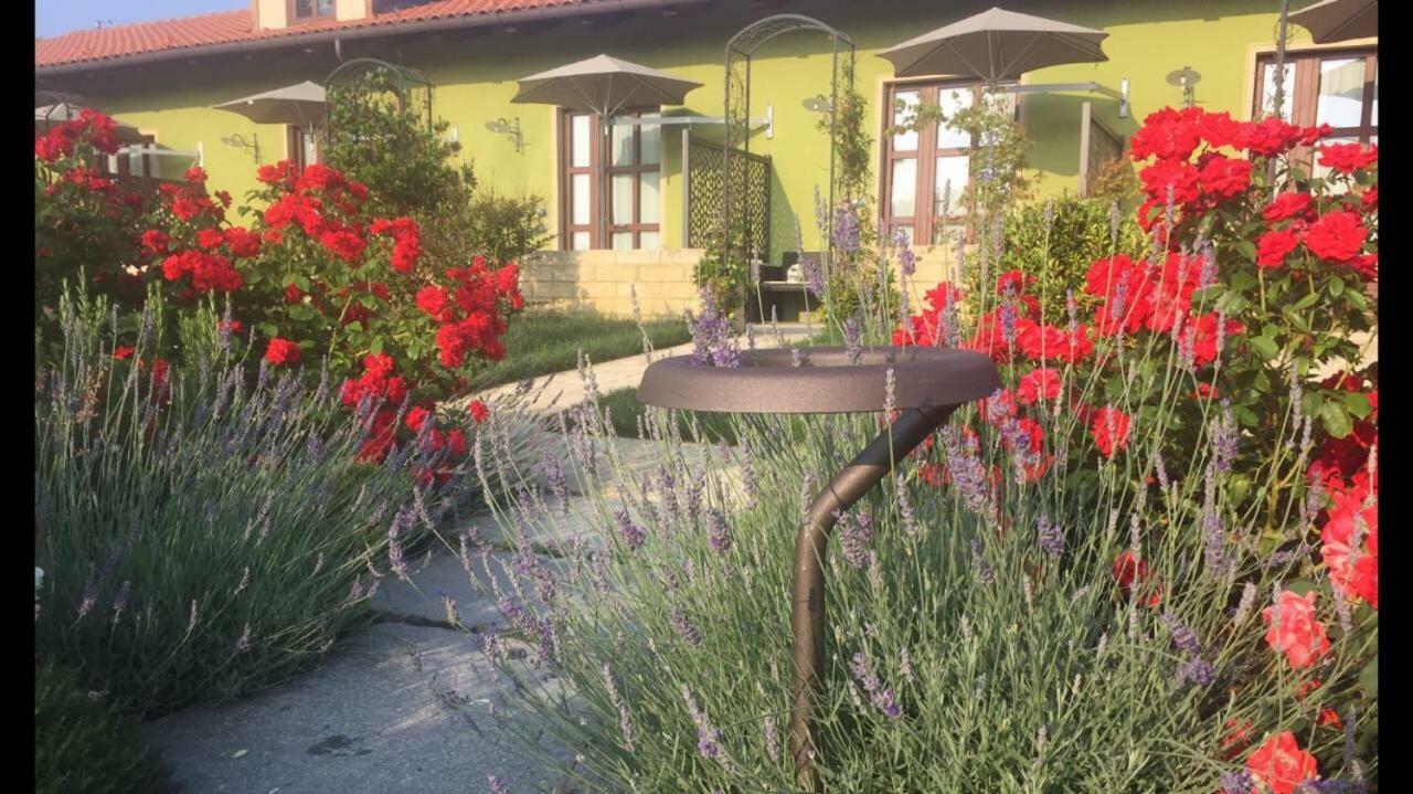 Agriturismo Da Mamma Alba  Eksteriør bilde